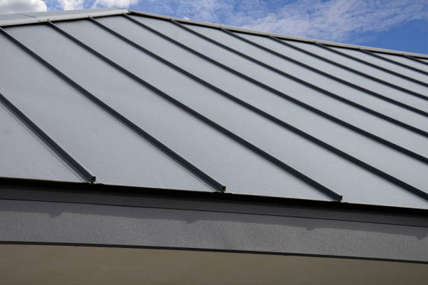 Best Roof Inspection  in Buena, NJ